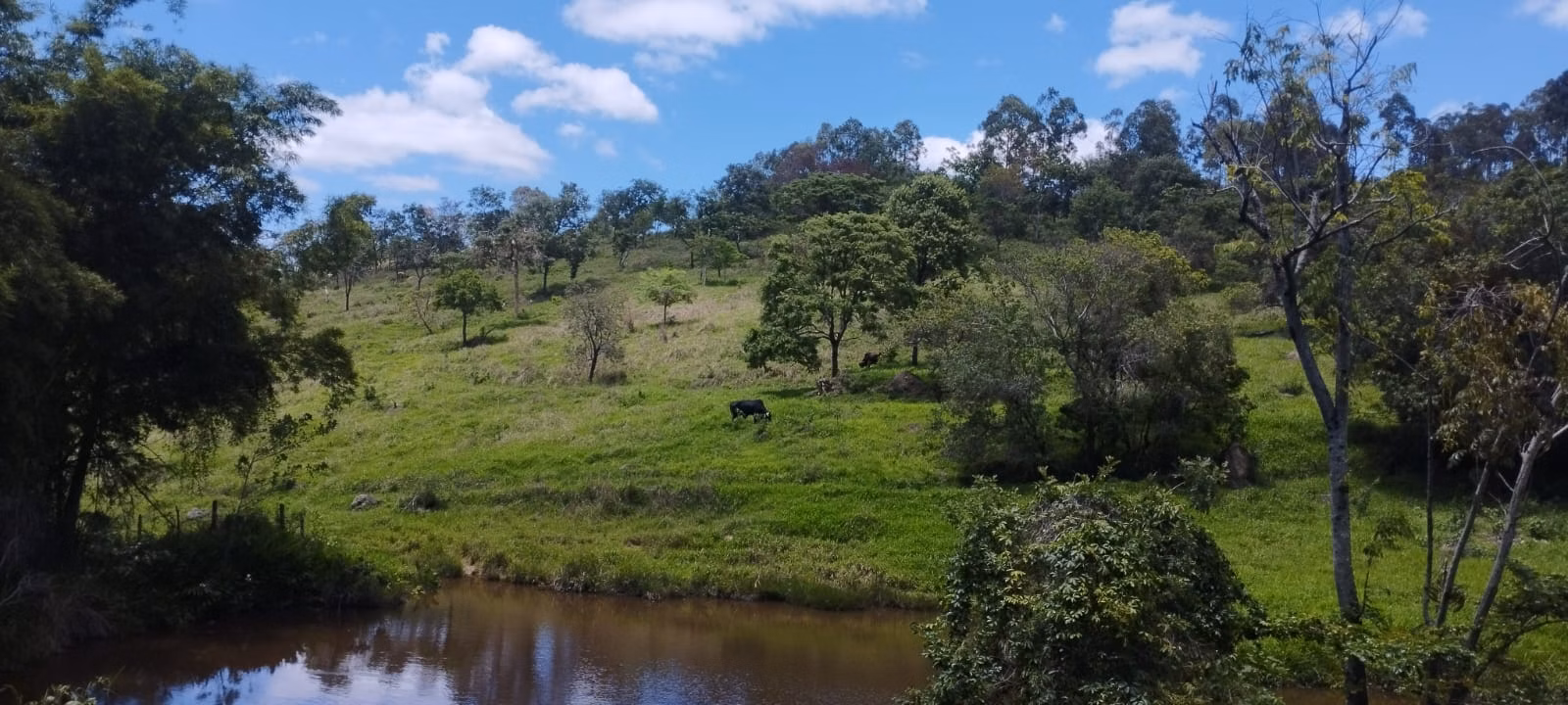 Terreno de 5 ha em Itaguara, MG