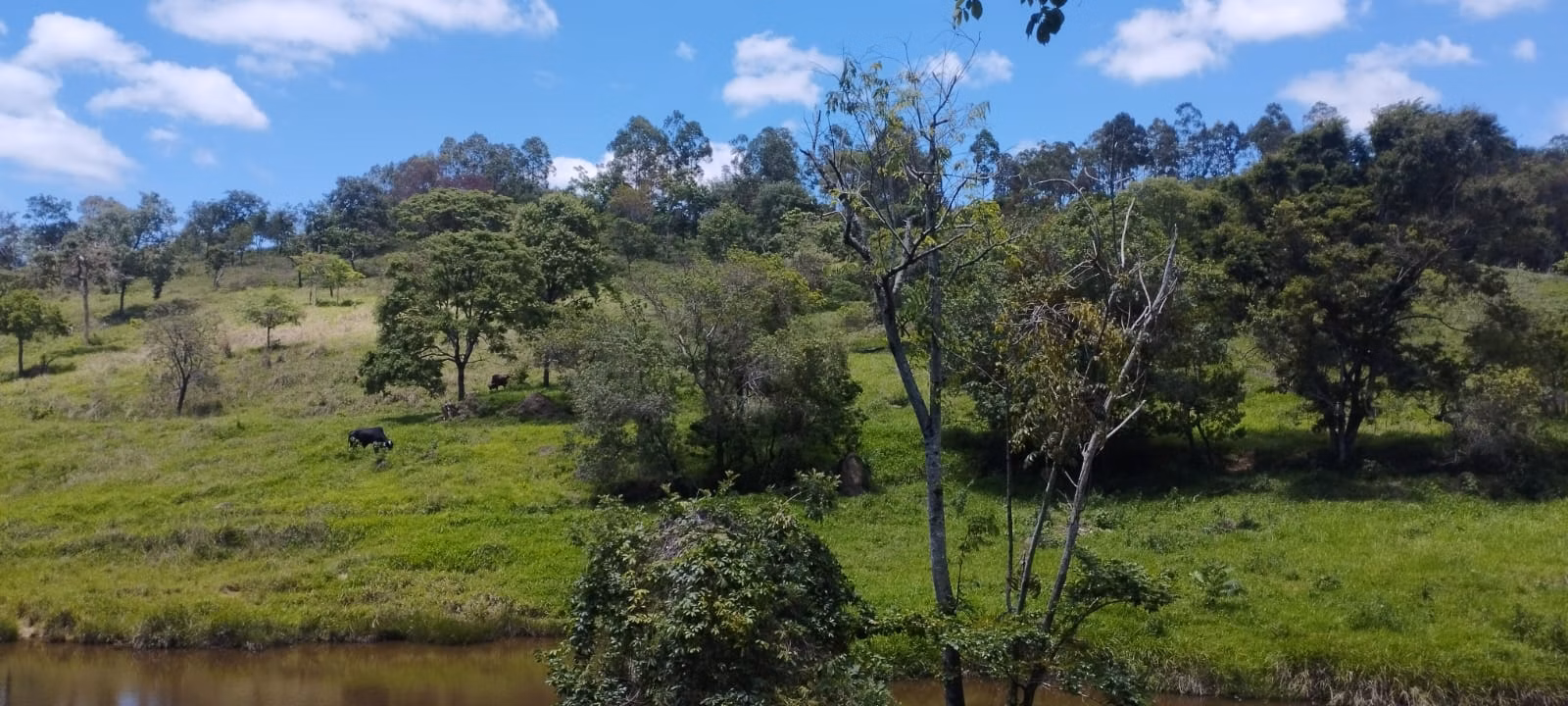 Terreno de 5 ha em Itaguara, MG