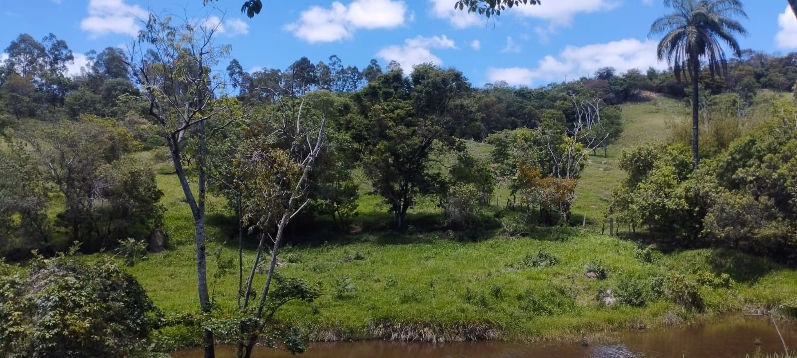 Terreno de 5 ha em Itaguara, MG