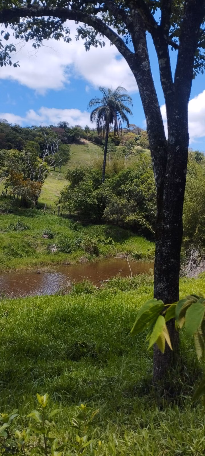 Terreno de 5 ha em Itaguara, MG
