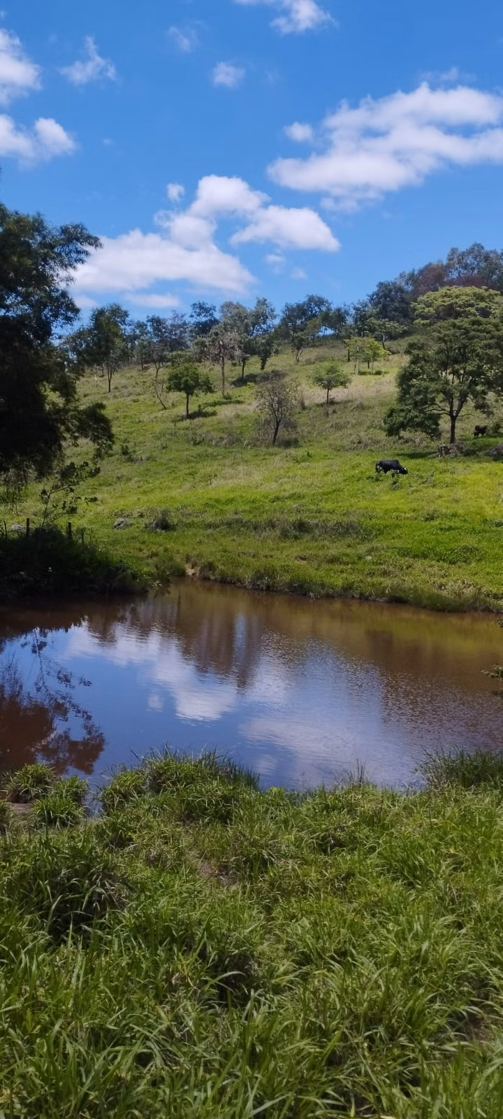 Terreno de 5 ha em Itaguara, MG
