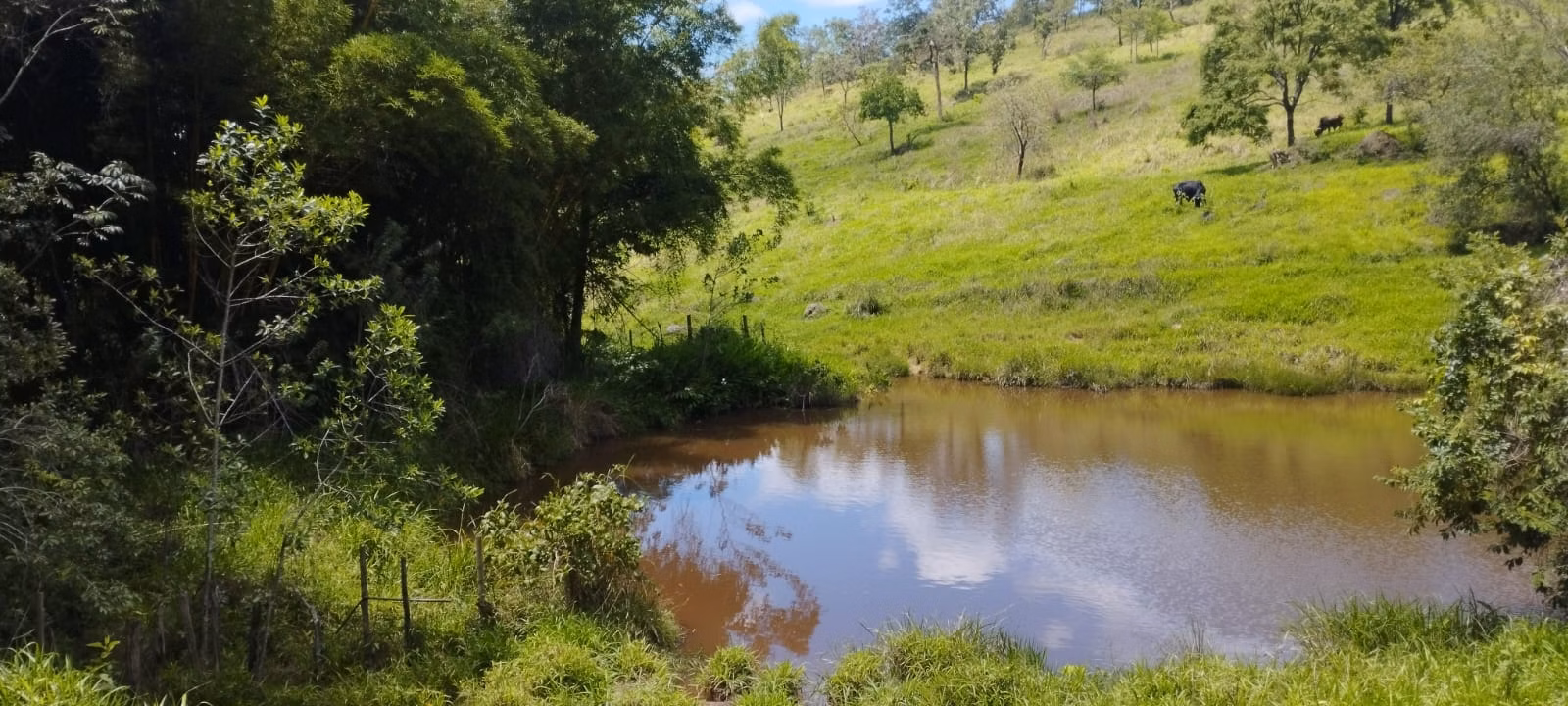 Terreno de 5 ha em Itaguara, MG