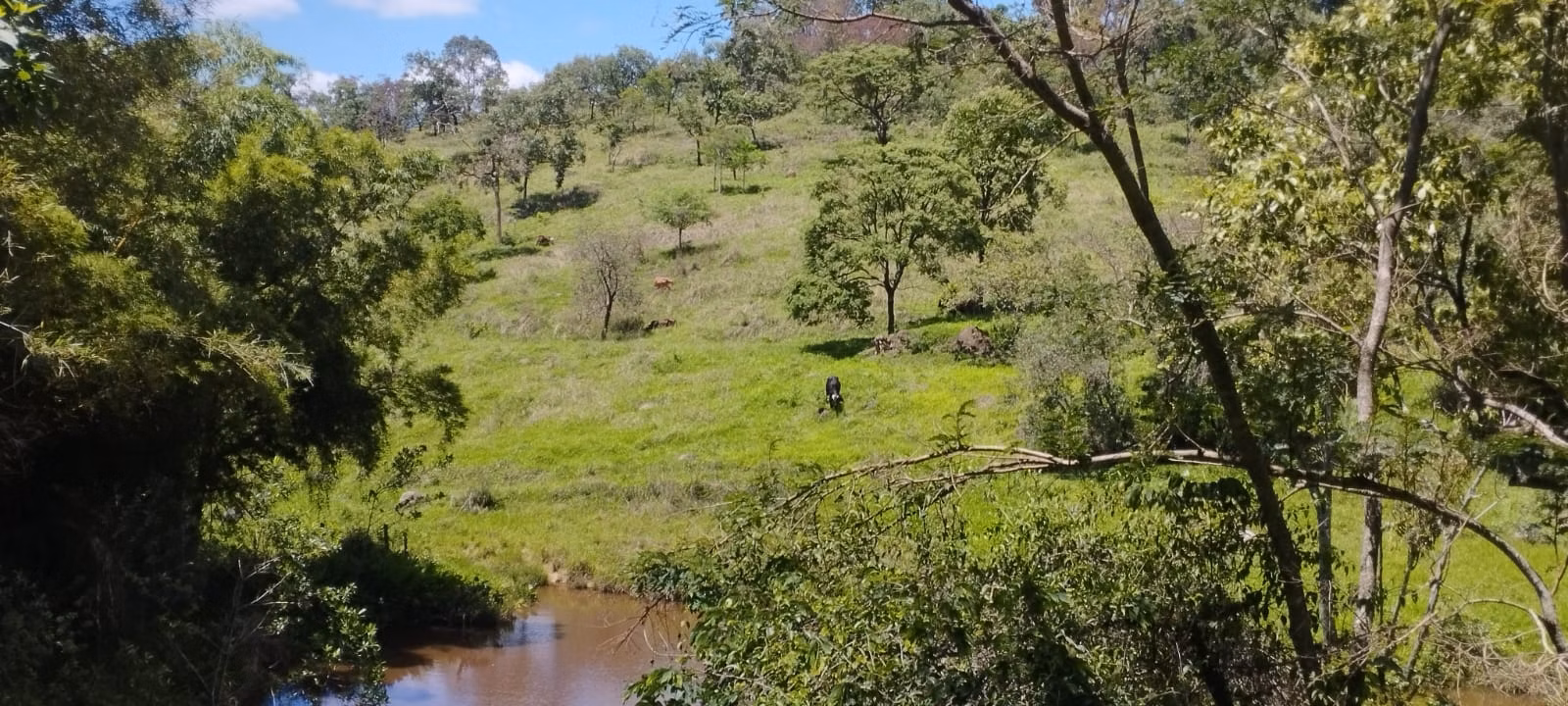 Terreno de 5 ha em Itaguara, MG