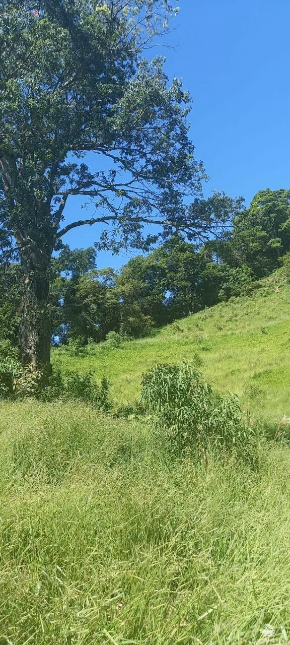 Small farm of 84 acres in São José dos Campos, SP, Brazil