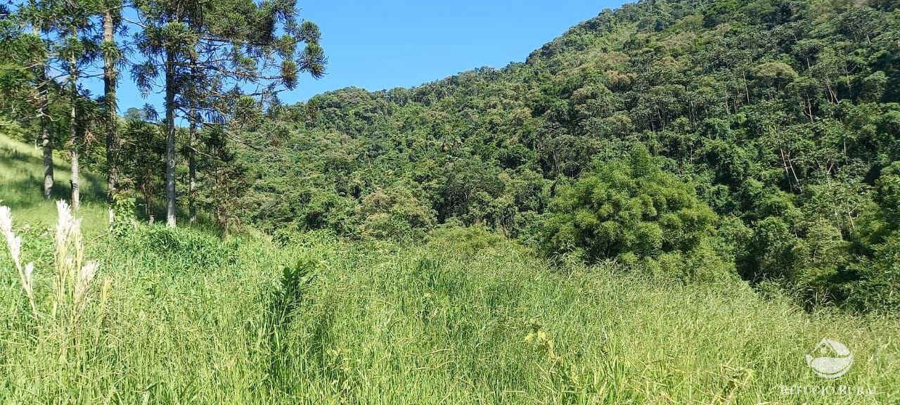 Small farm of 84 acres in São José dos Campos, SP, Brazil