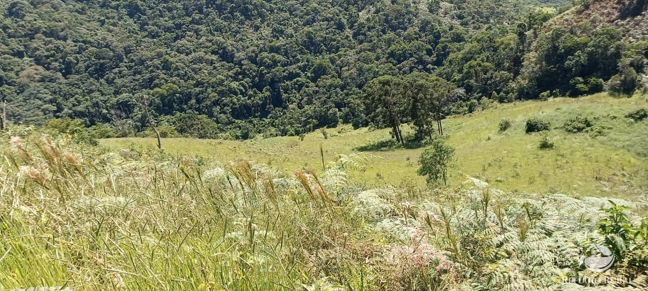 Small farm of 84 acres in São José dos Campos, SP, Brazil