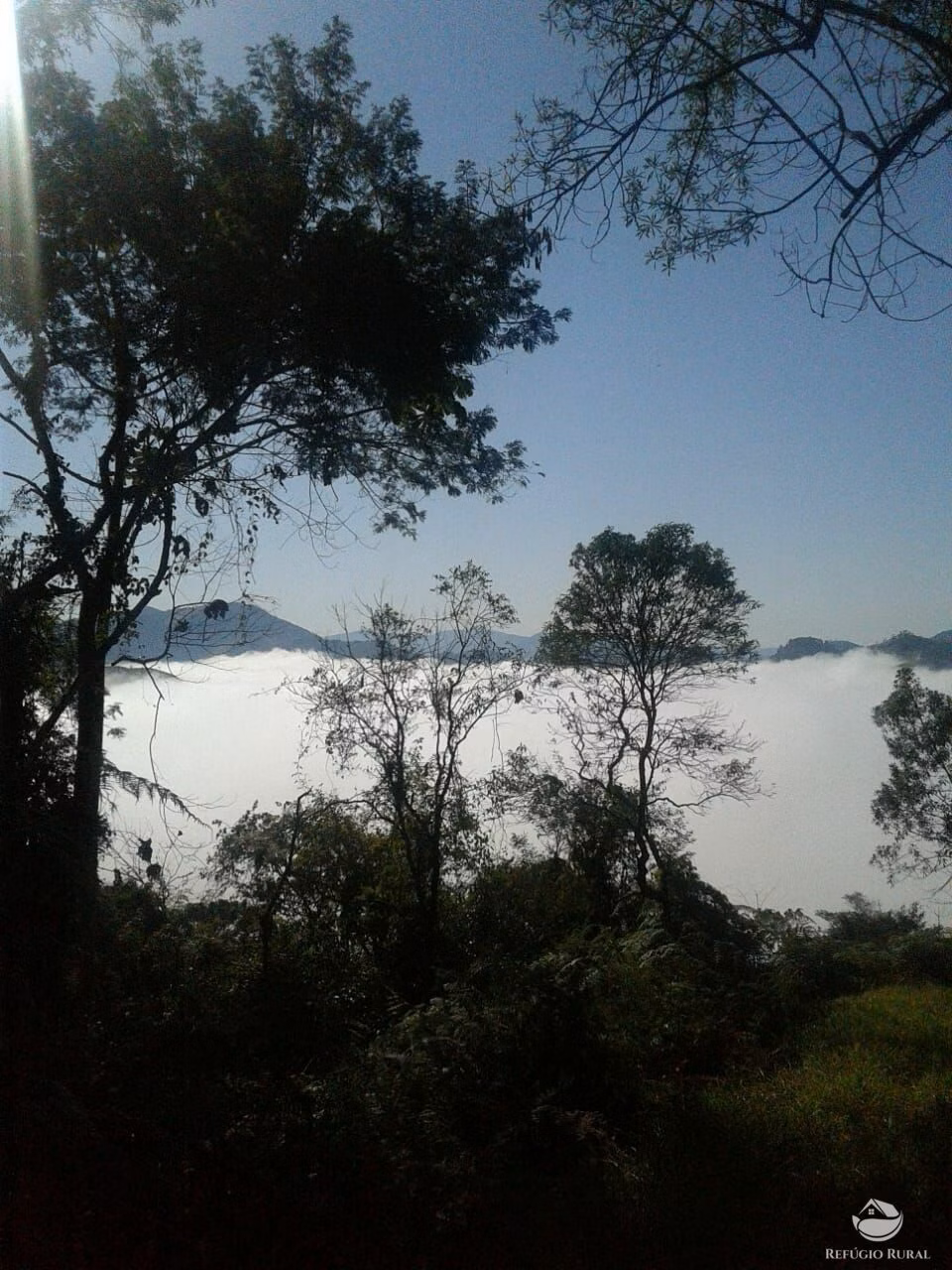 Small farm of 84 acres in São José dos Campos, SP, Brazil