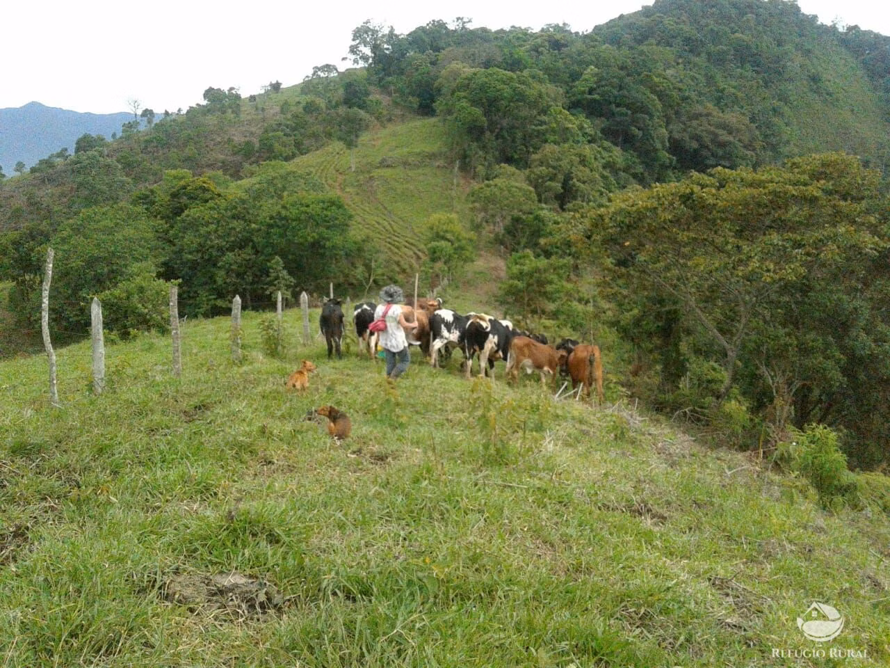 Small farm of 84 acres in São José dos Campos, SP, Brazil