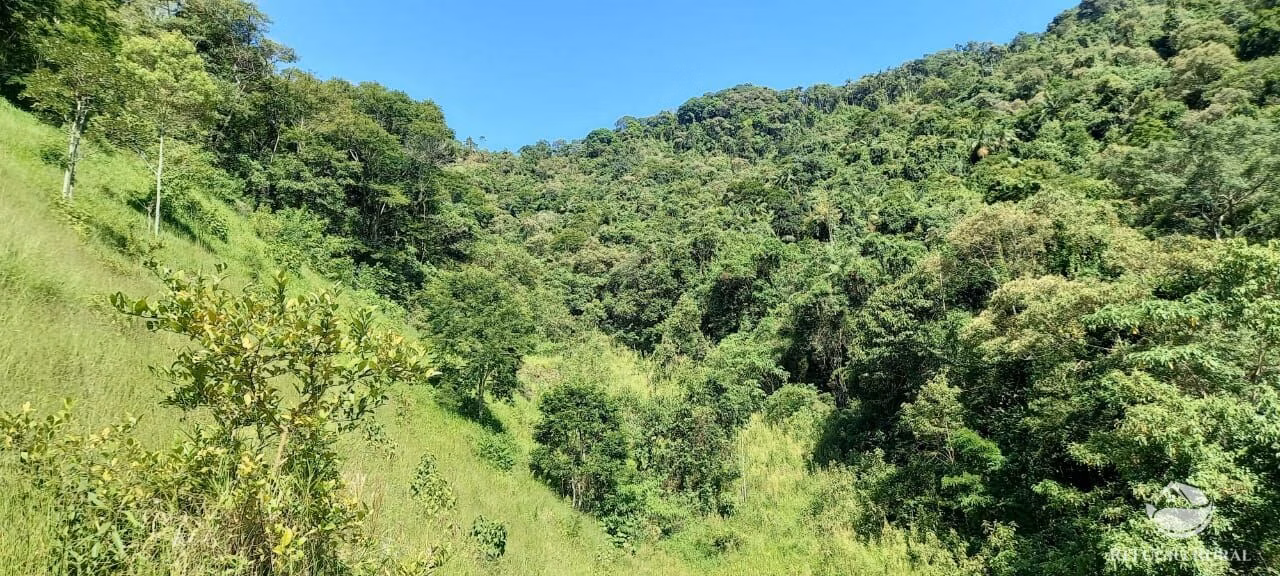 Small farm of 84 acres in São José dos Campos, SP, Brazil