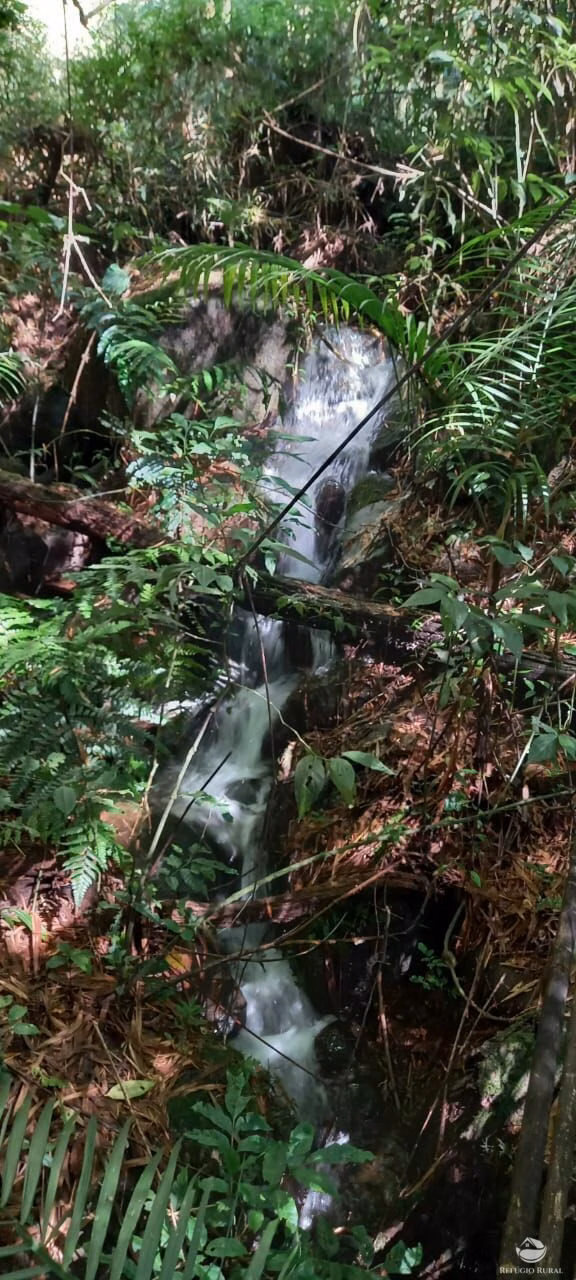 Small farm of 84 acres in São José dos Campos, SP, Brazil