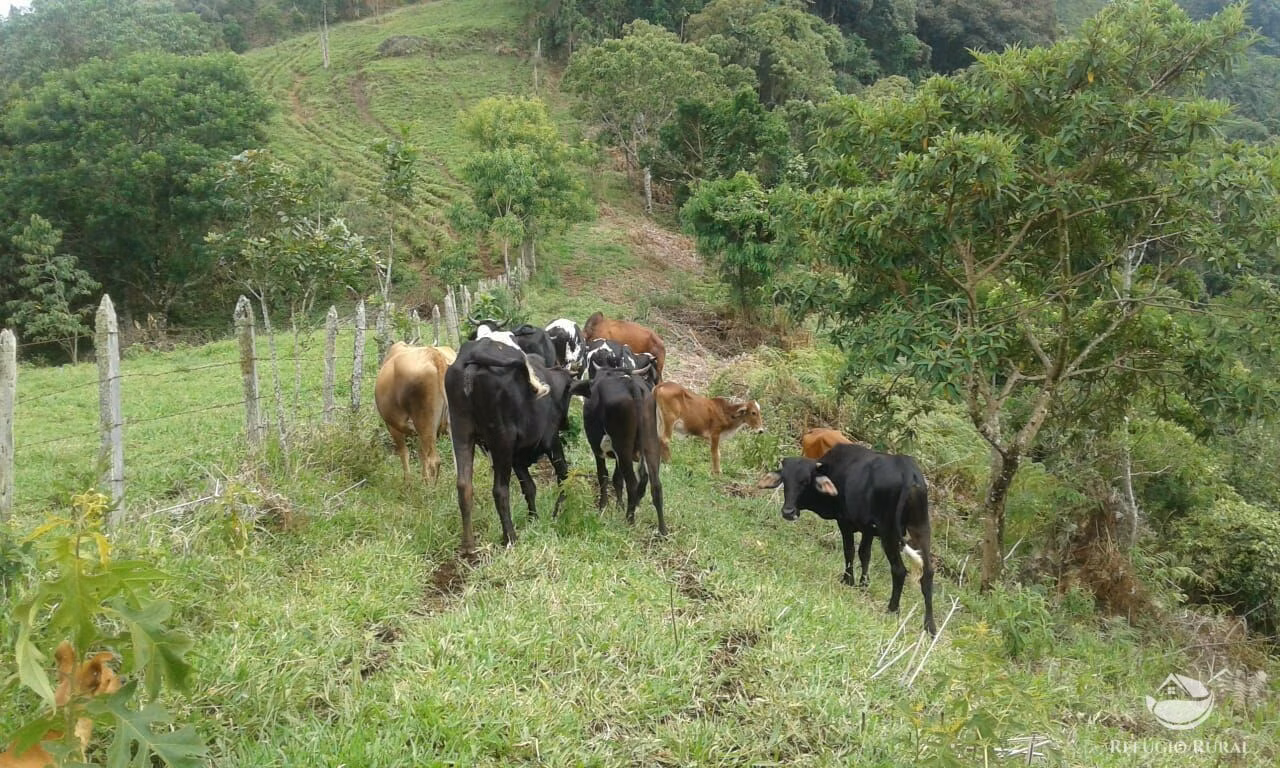 Small farm of 84 acres in São José dos Campos, SP, Brazil