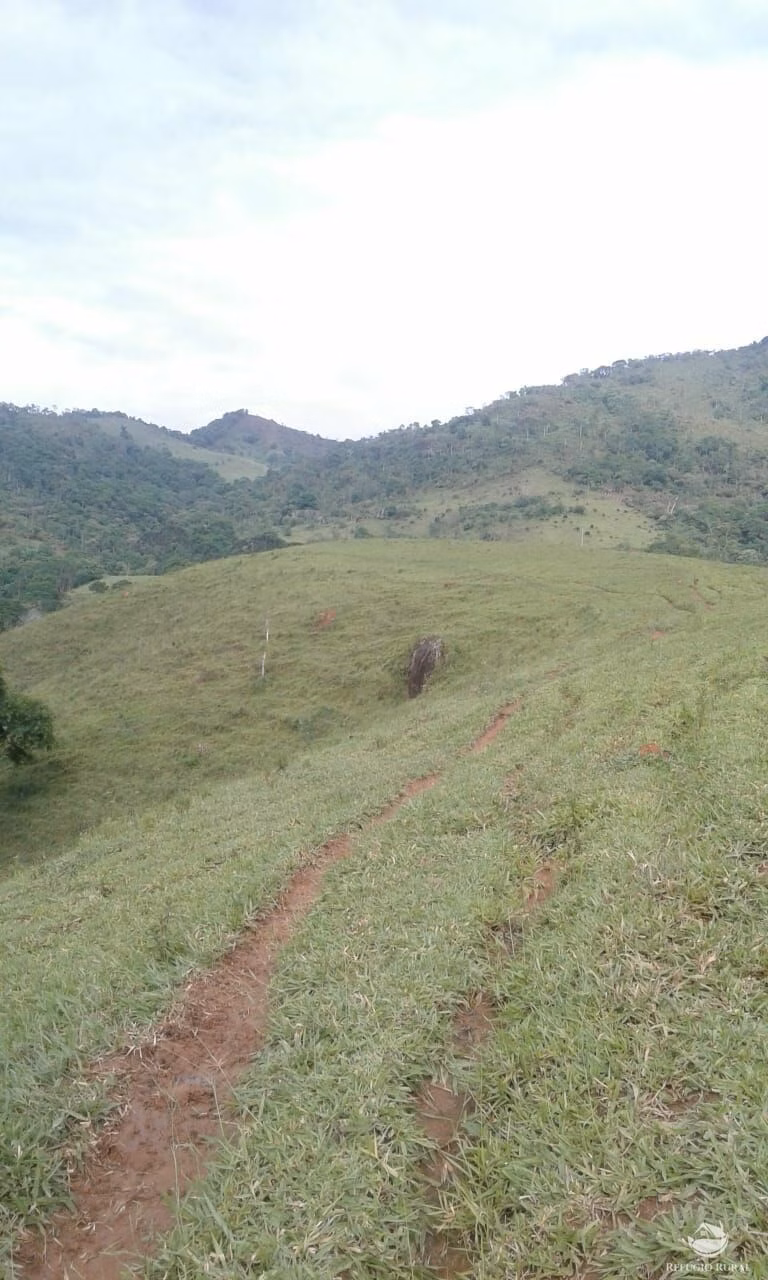 Small farm of 84 acres in São José dos Campos, SP, Brazil