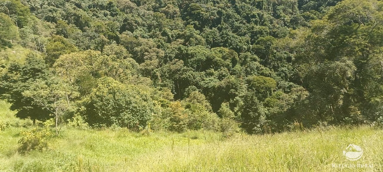 Small farm of 84 acres in São José dos Campos, SP, Brazil