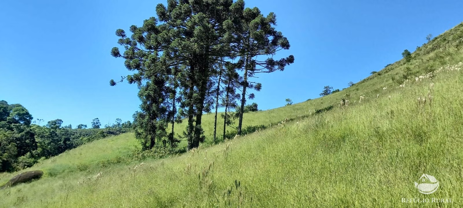Small farm of 84 acres in São José dos Campos, SP, Brazil