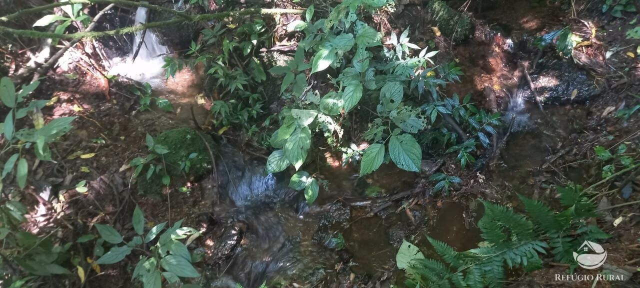 Small farm of 84 acres in São José dos Campos, SP, Brazil
