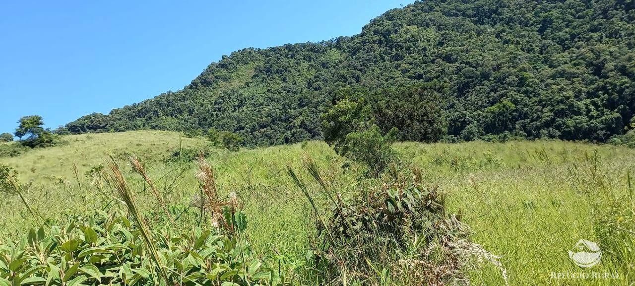 Small farm of 84 acres in São José dos Campos, SP, Brazil