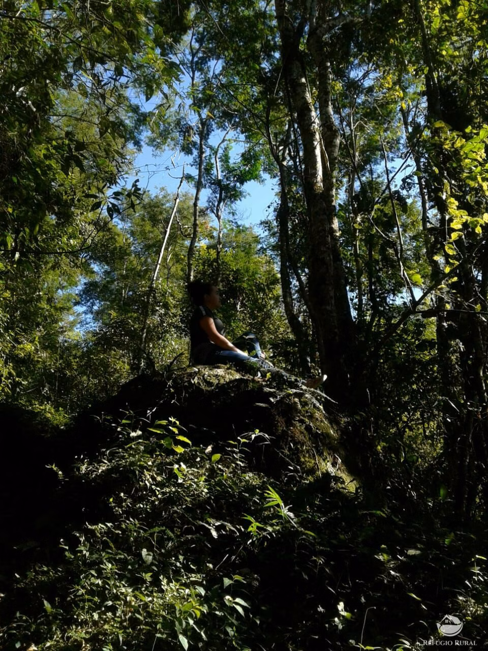 Small farm of 84 acres in São José dos Campos, SP, Brazil