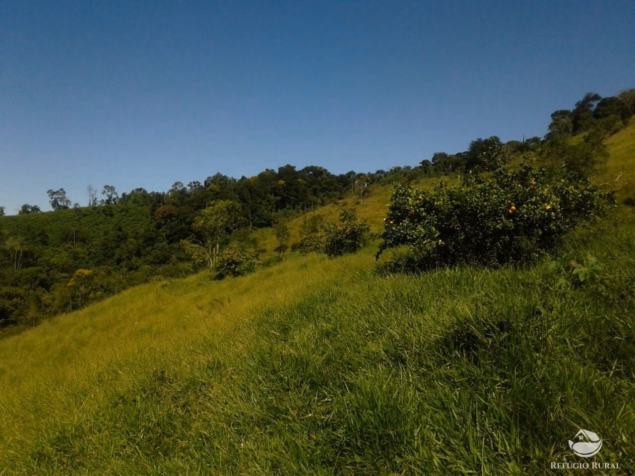 Small farm of 84 acres in São José dos Campos, SP, Brazil