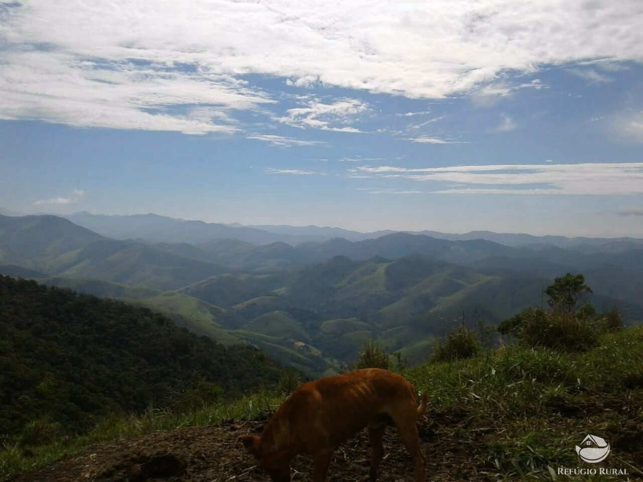 Small farm of 84 acres in São José dos Campos, SP, Brazil
