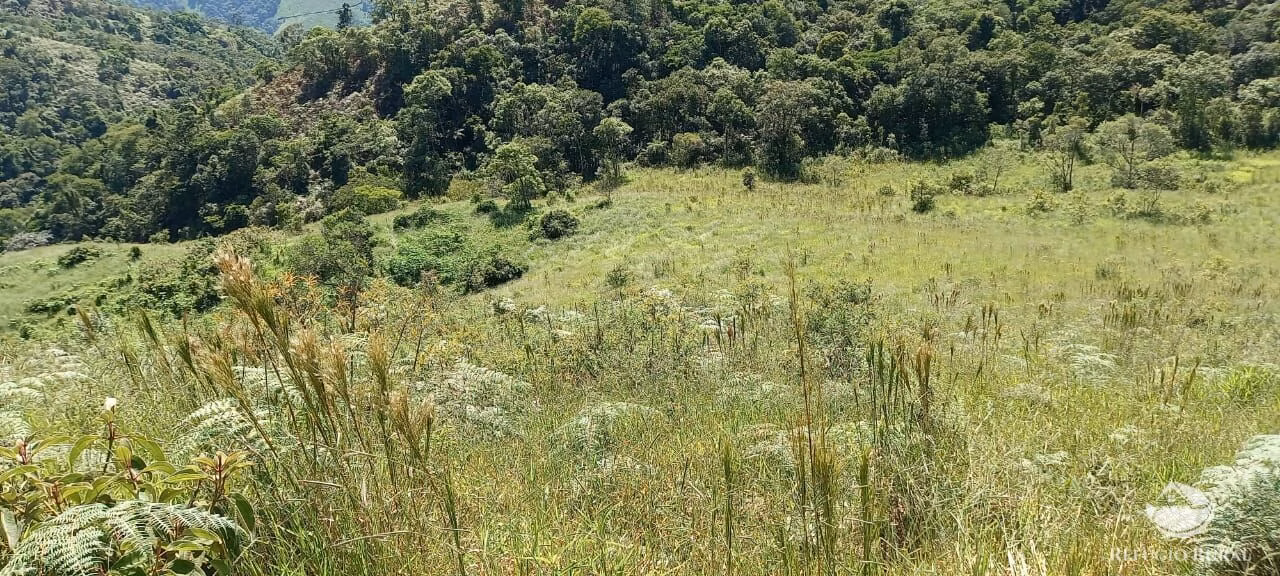 Small farm of 84 acres in São José dos Campos, SP, Brazil