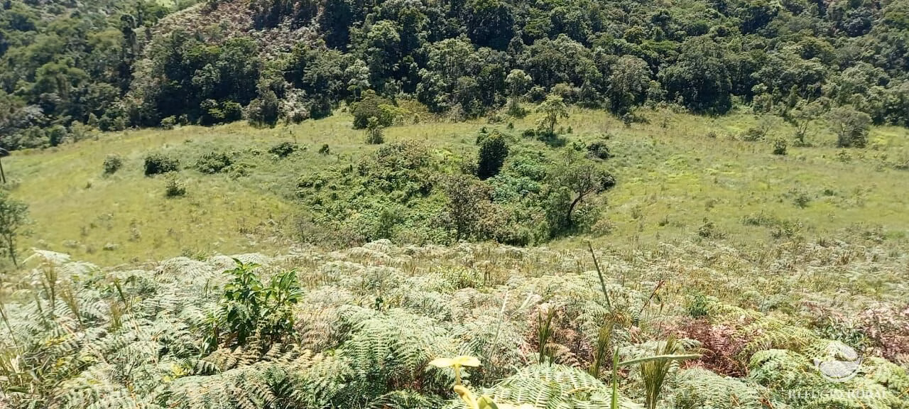 Small farm of 84 acres in São José dos Campos, SP, Brazil