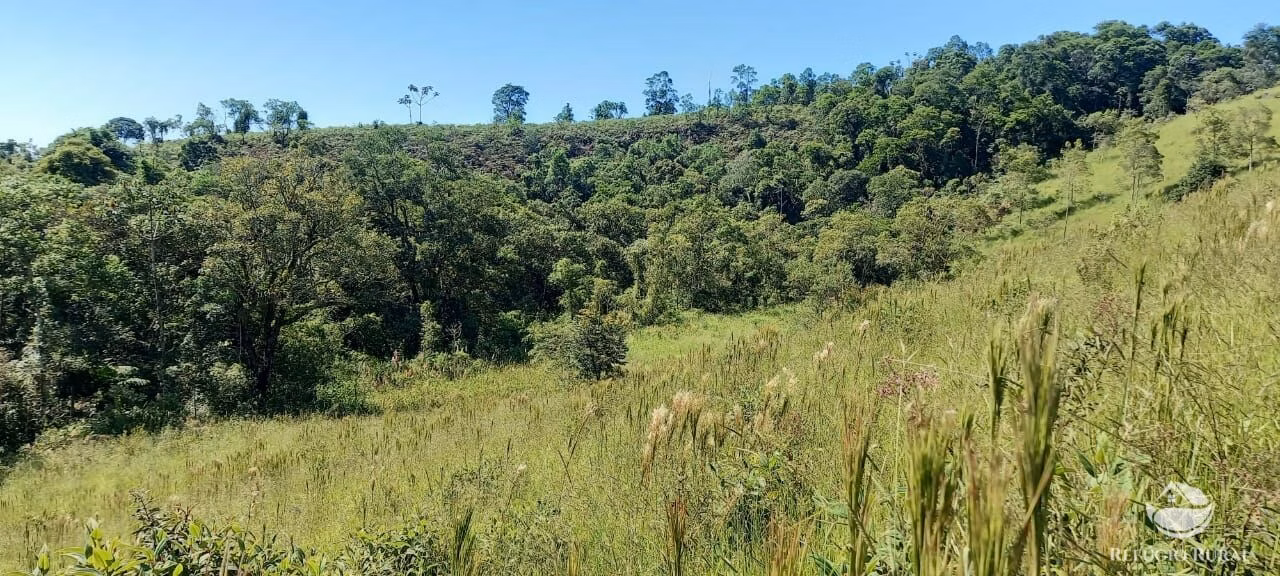 Small farm of 84 acres in São José dos Campos, SP, Brazil