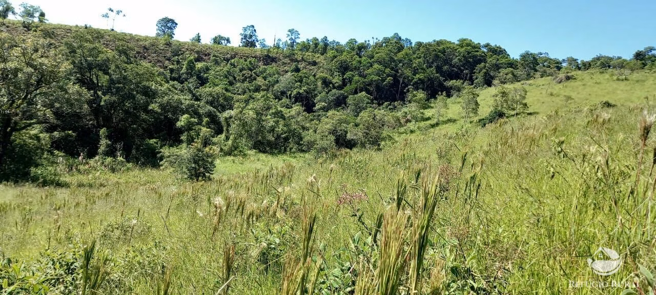 Small farm of 84 acres in São José dos Campos, SP, Brazil