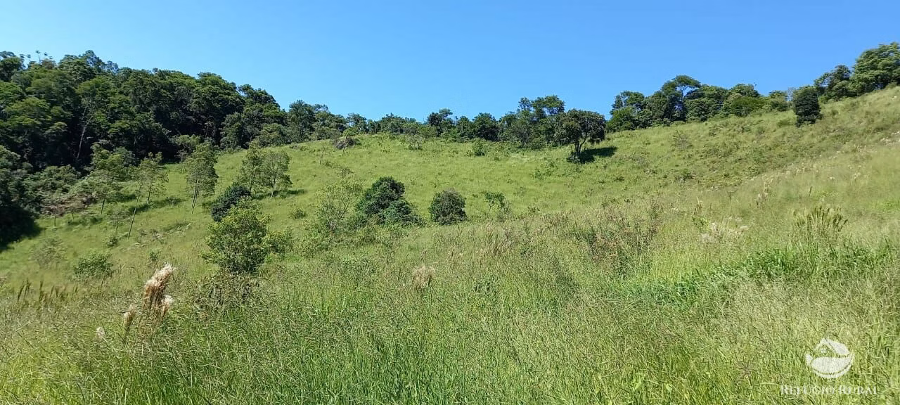 Small farm of 84 acres in São José dos Campos, SP, Brazil