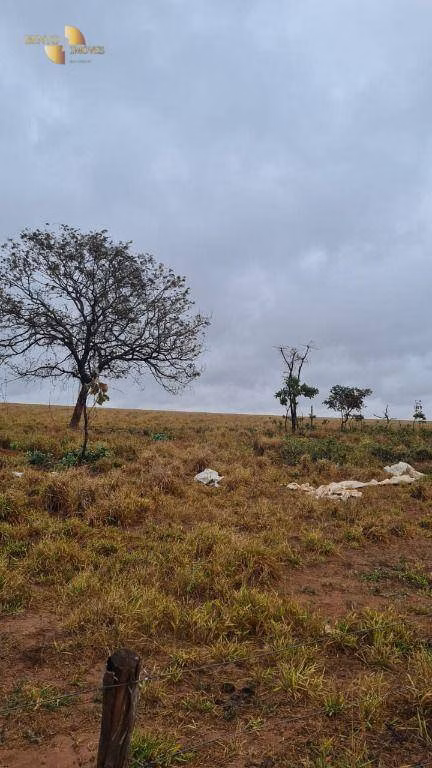 Fazenda de 500 ha em Primavera do Leste, MT