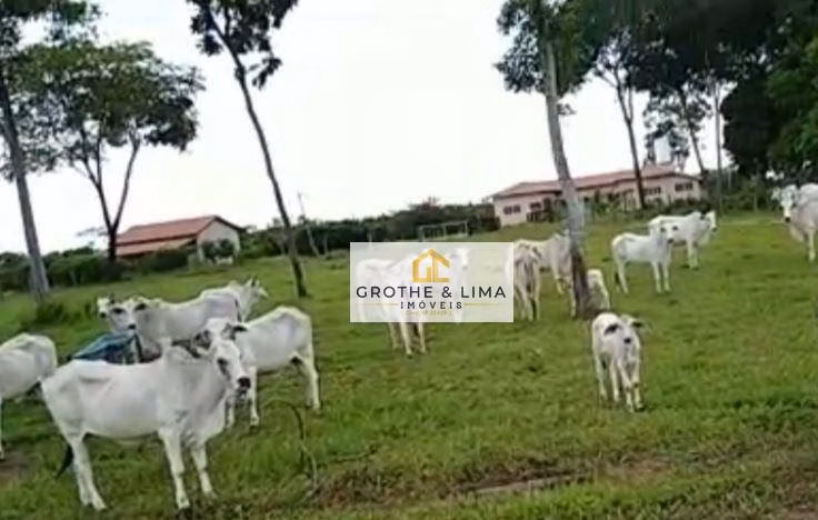 Fazenda de 484 ha em Cocalinho, MT