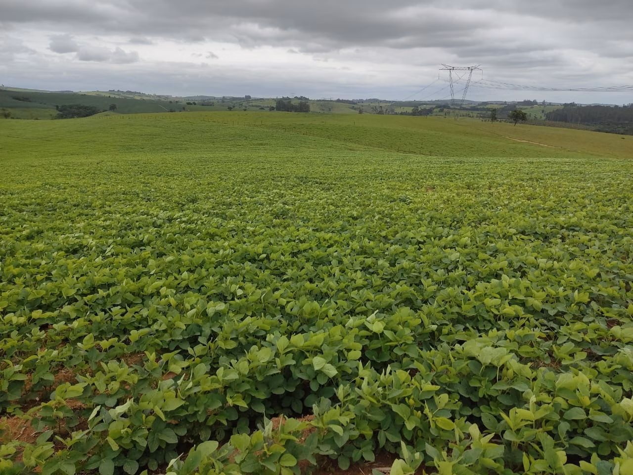 Sítio de 48 ha em Pilar do Sul, SP