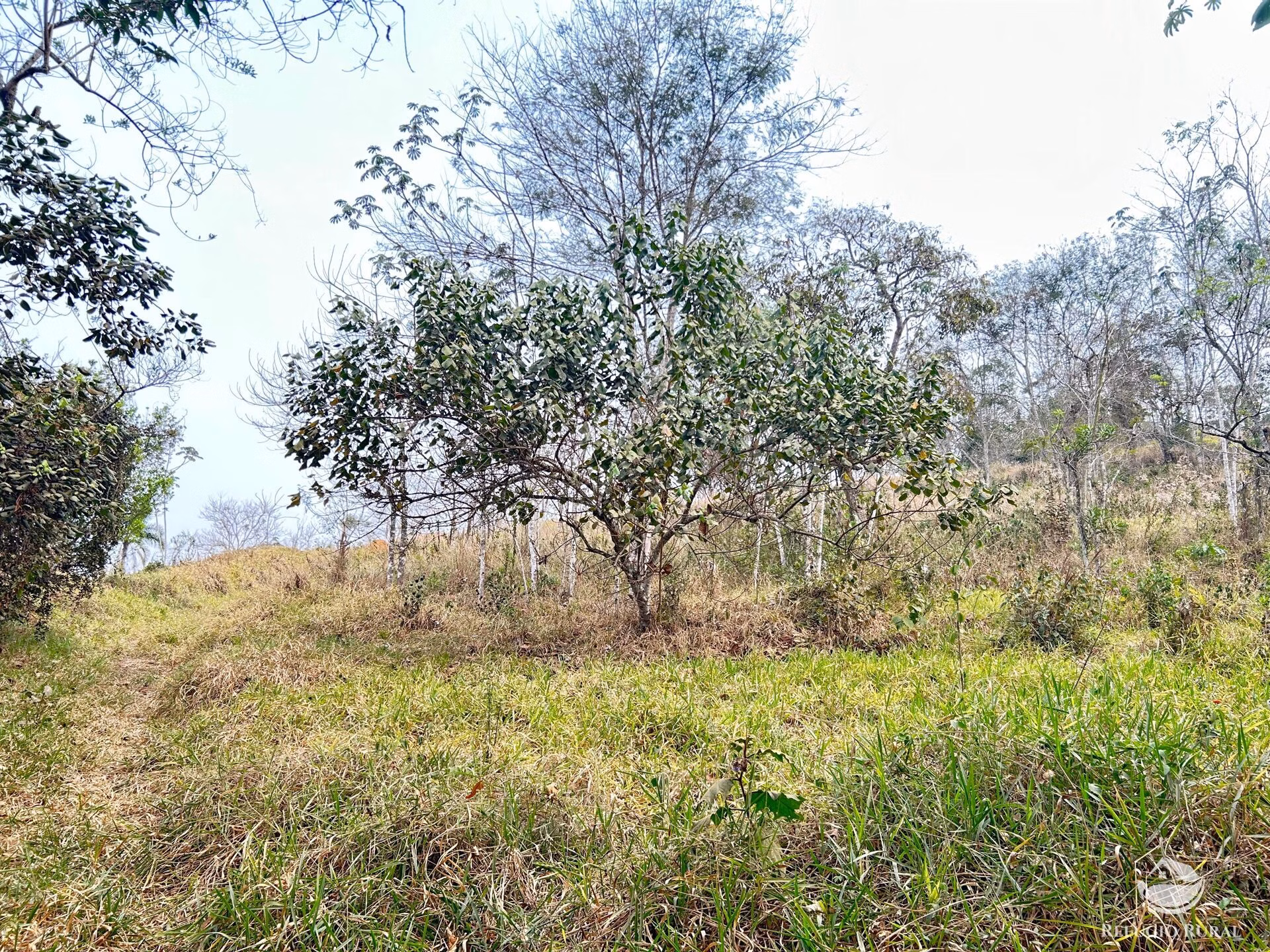 Small farm of 59 acres in São José dos Campos, SP, Brazil