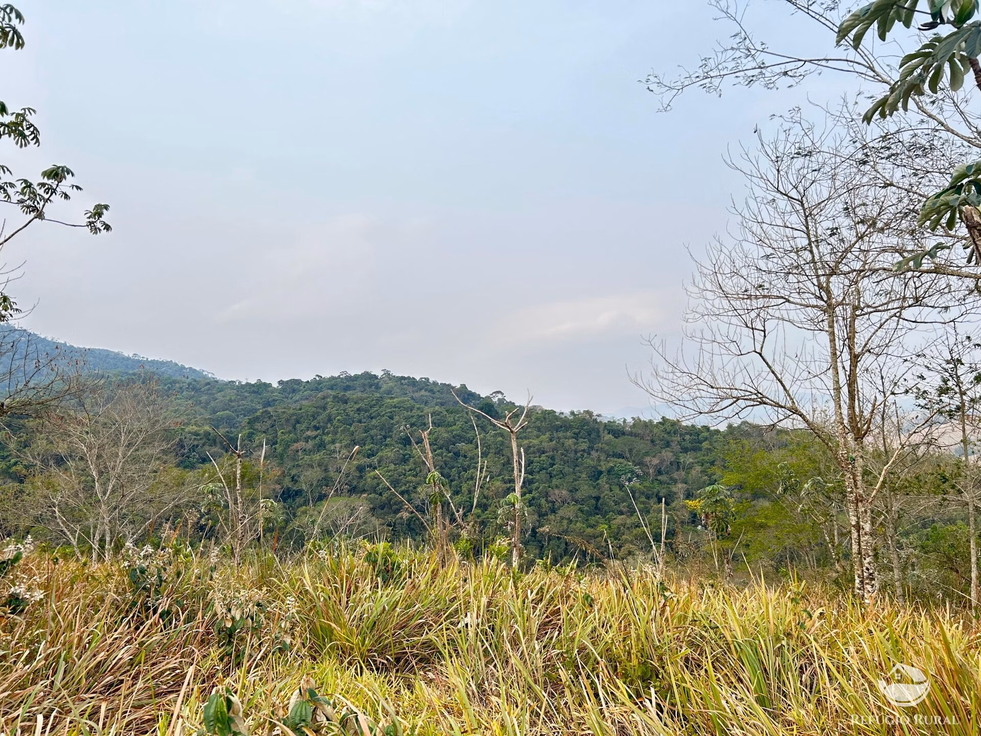 Small farm of 59 acres in São José dos Campos, SP, Brazil
