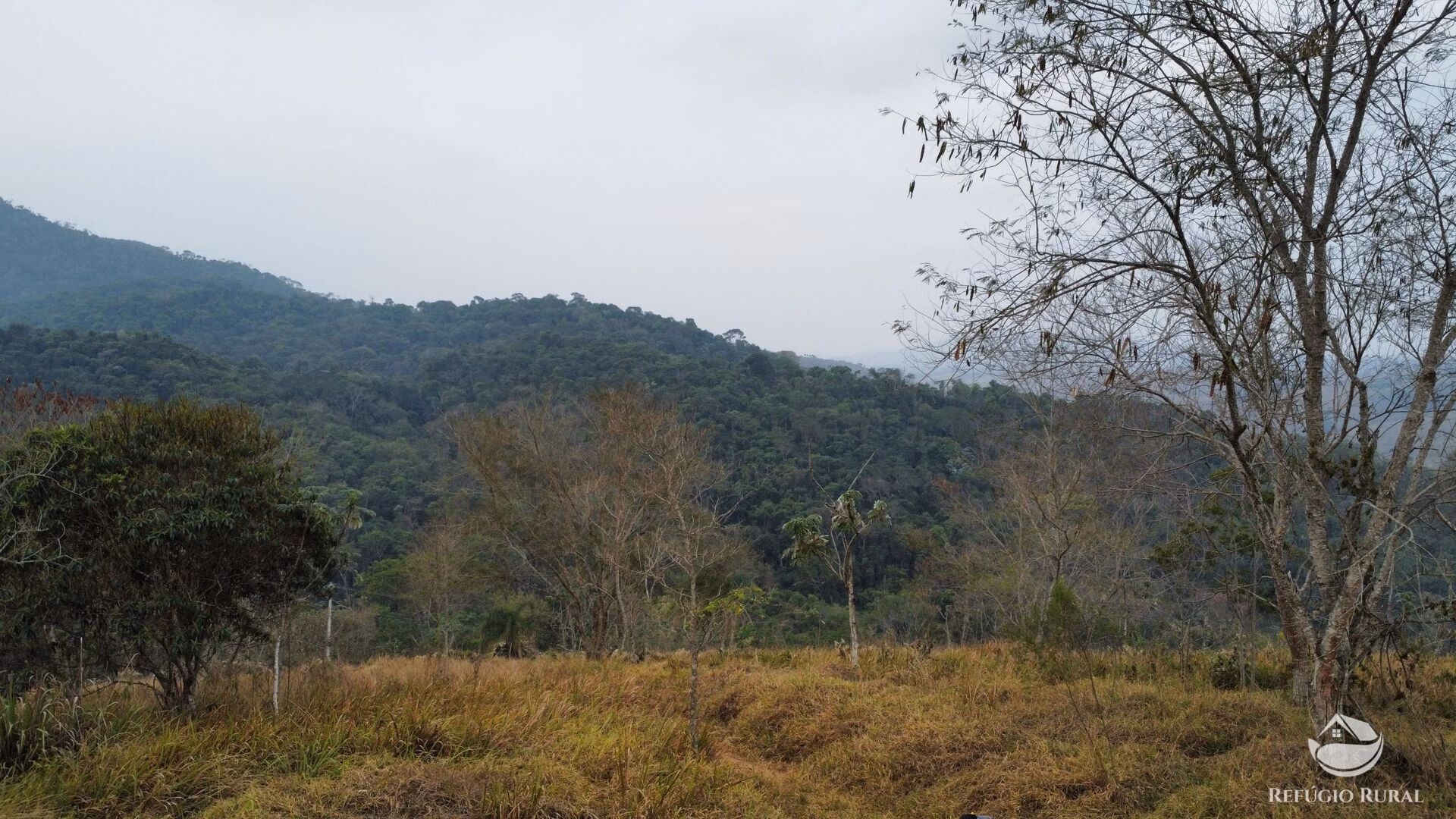 Small farm of 59 acres in São José dos Campos, SP, Brazil