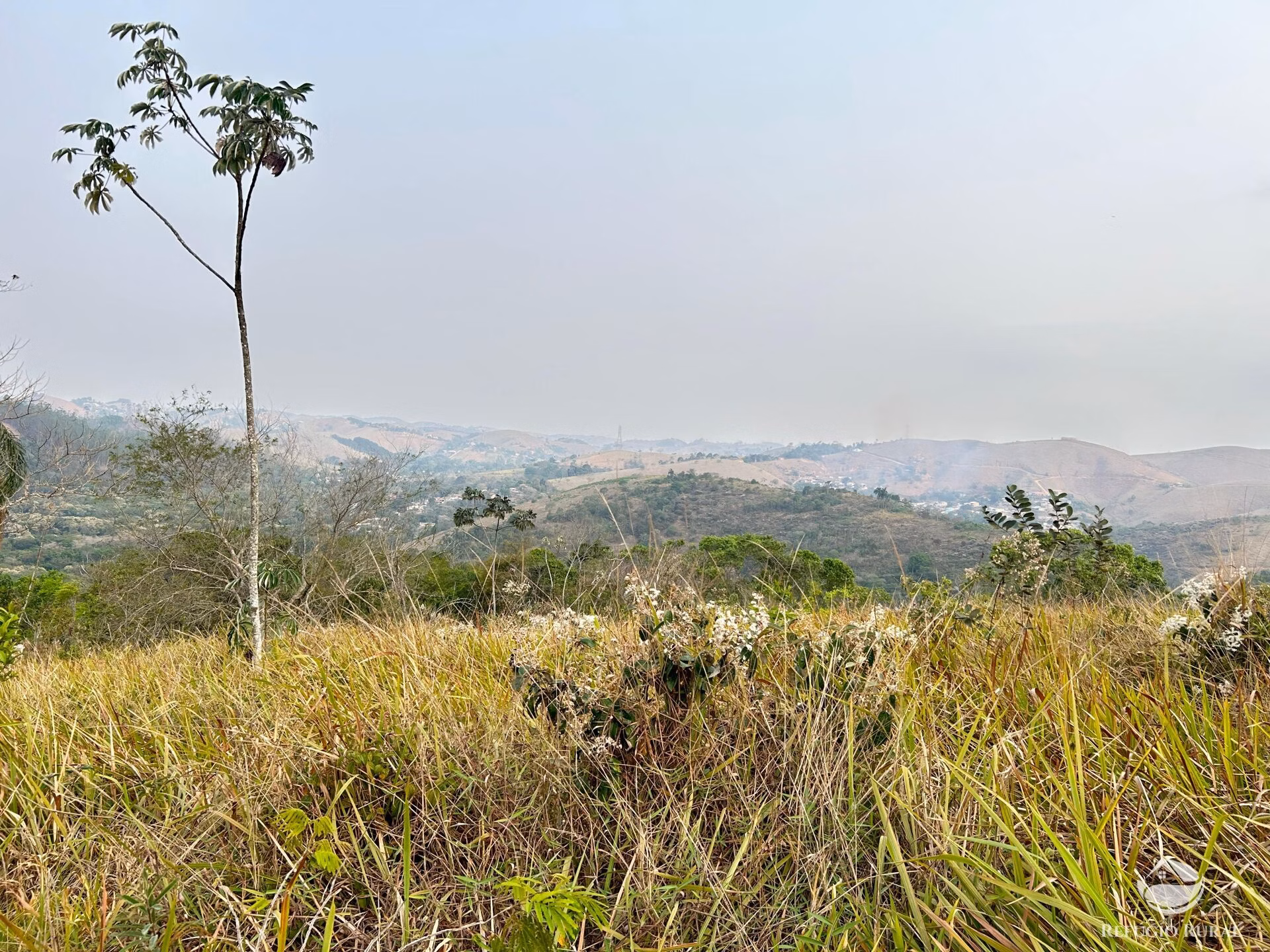 Small farm of 59 acres in São José dos Campos, SP, Brazil