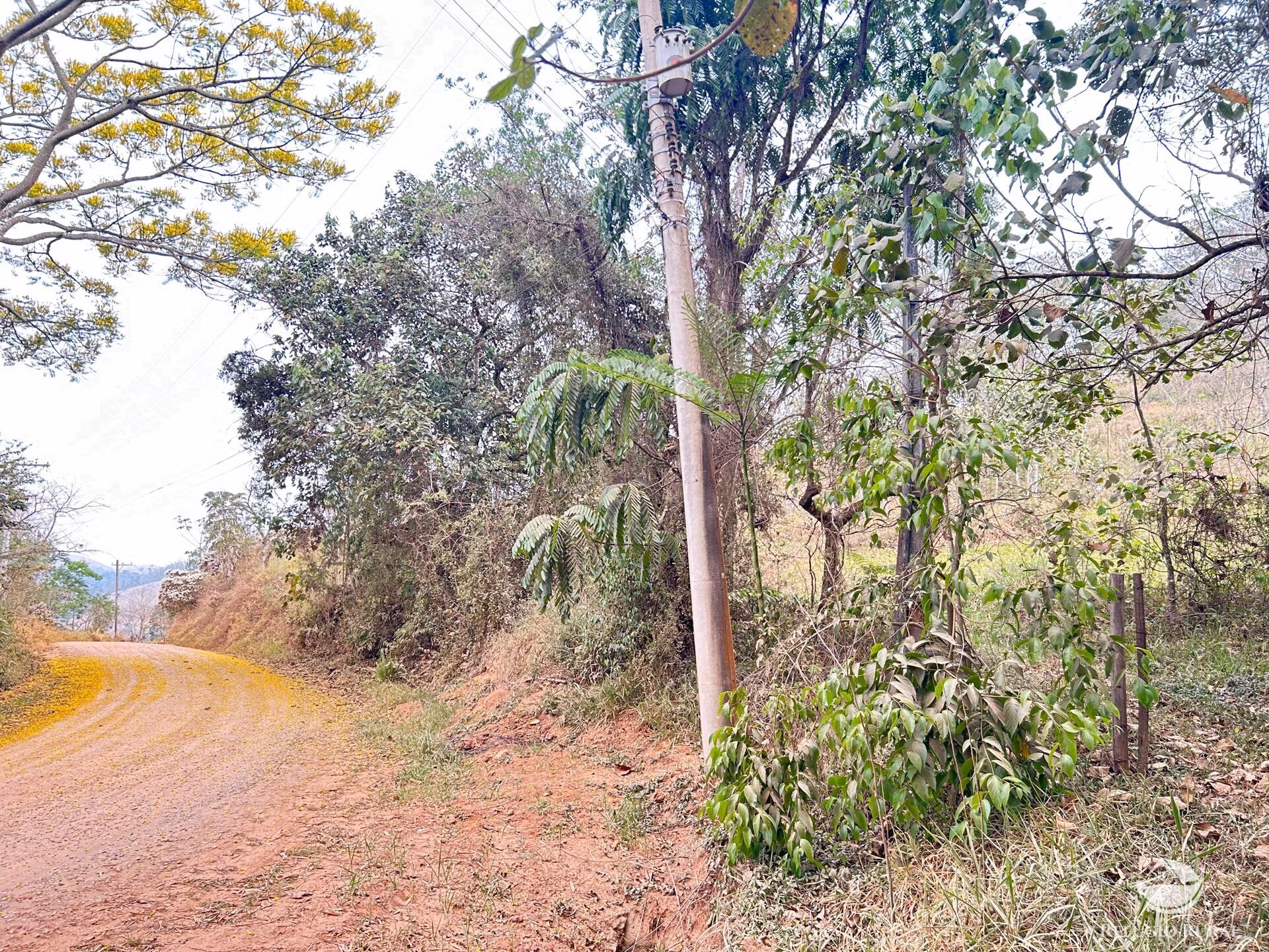 Small farm of 59 acres in São José dos Campos, SP, Brazil
