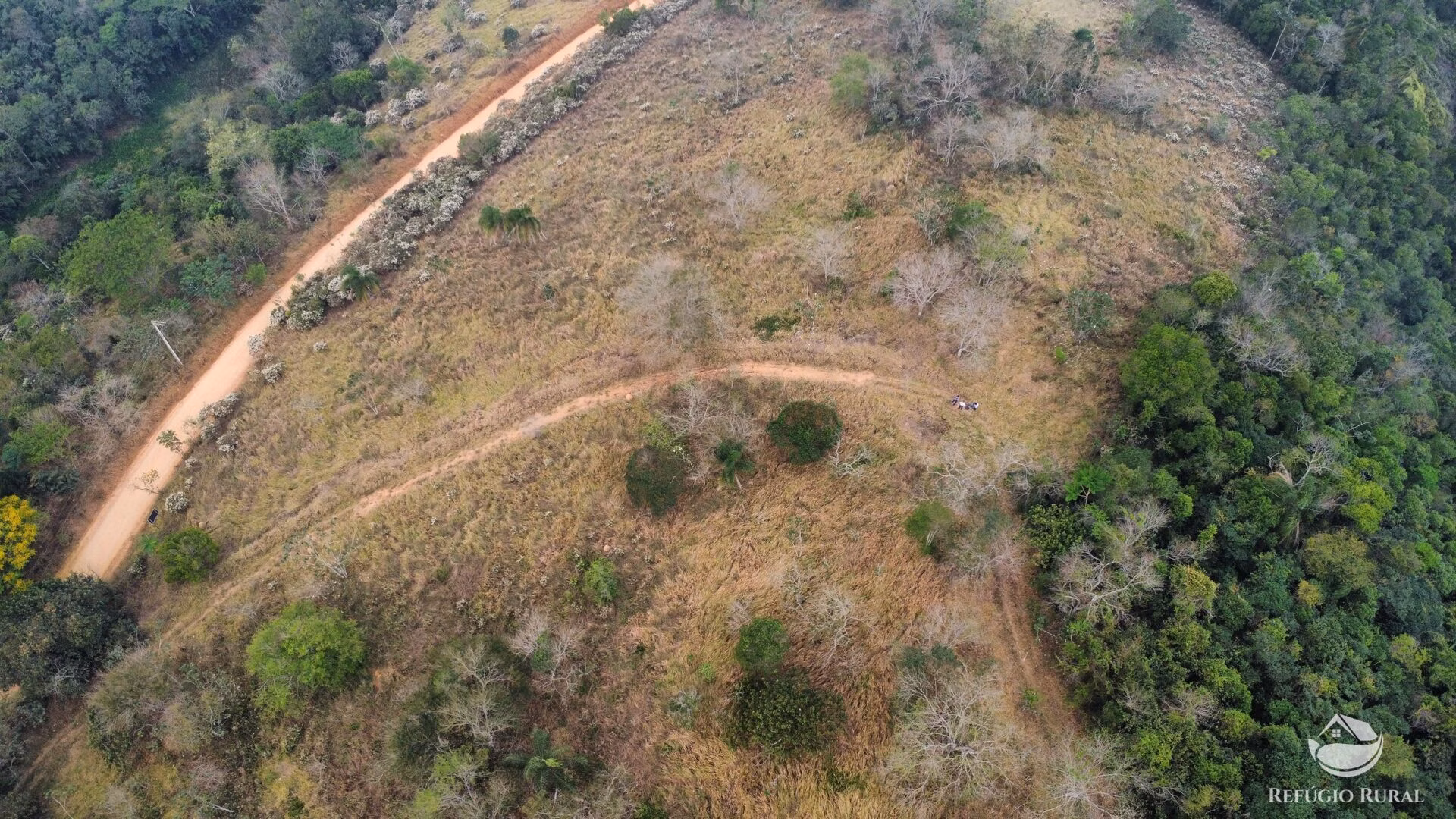 Small farm of 59 acres in São José dos Campos, SP, Brazil