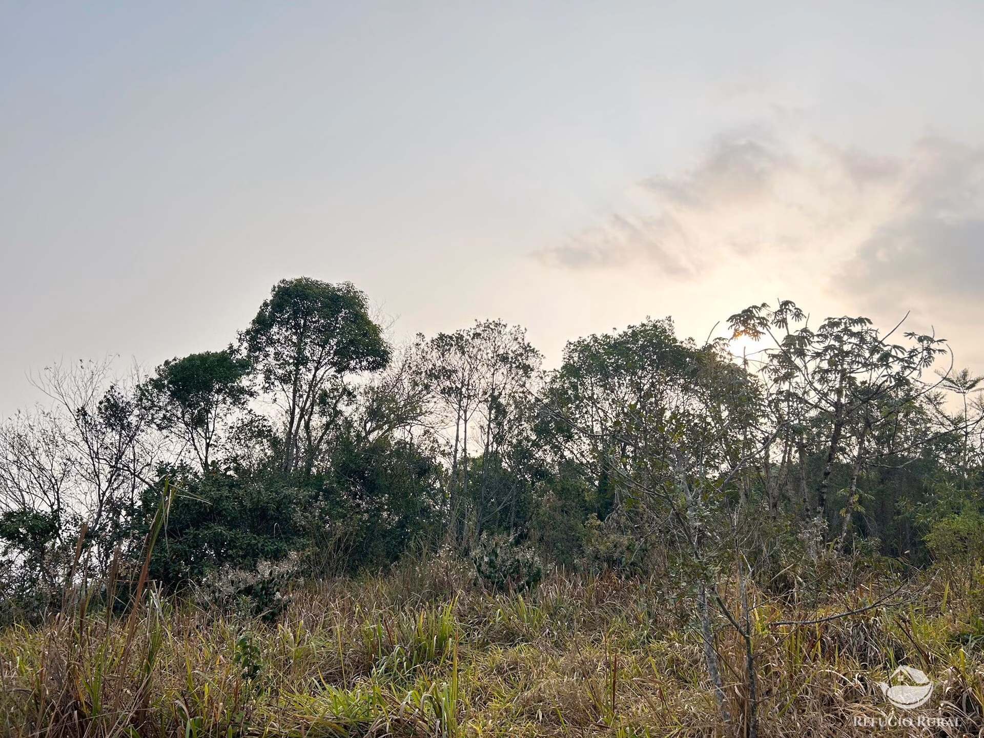 Small farm of 59 acres in São José dos Campos, SP, Brazil