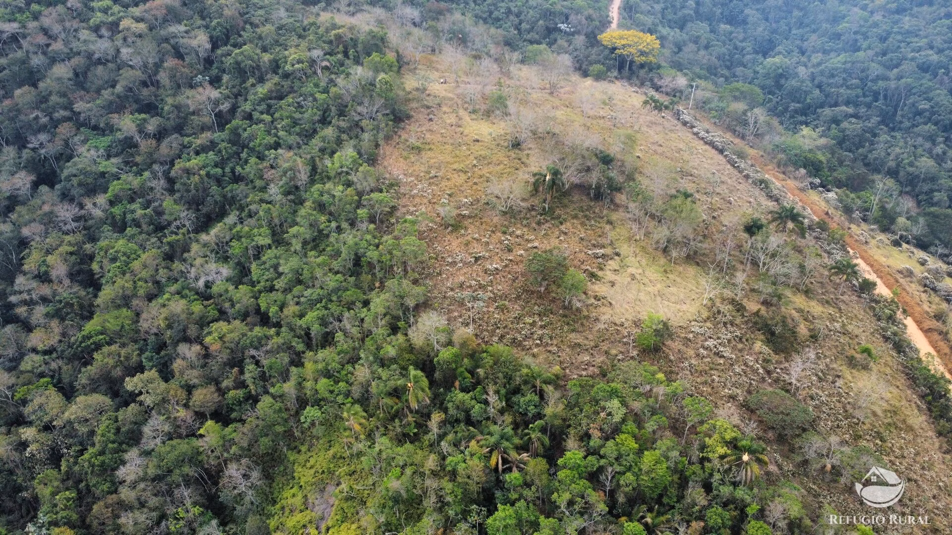 Small farm of 59 acres in São José dos Campos, SP, Brazil