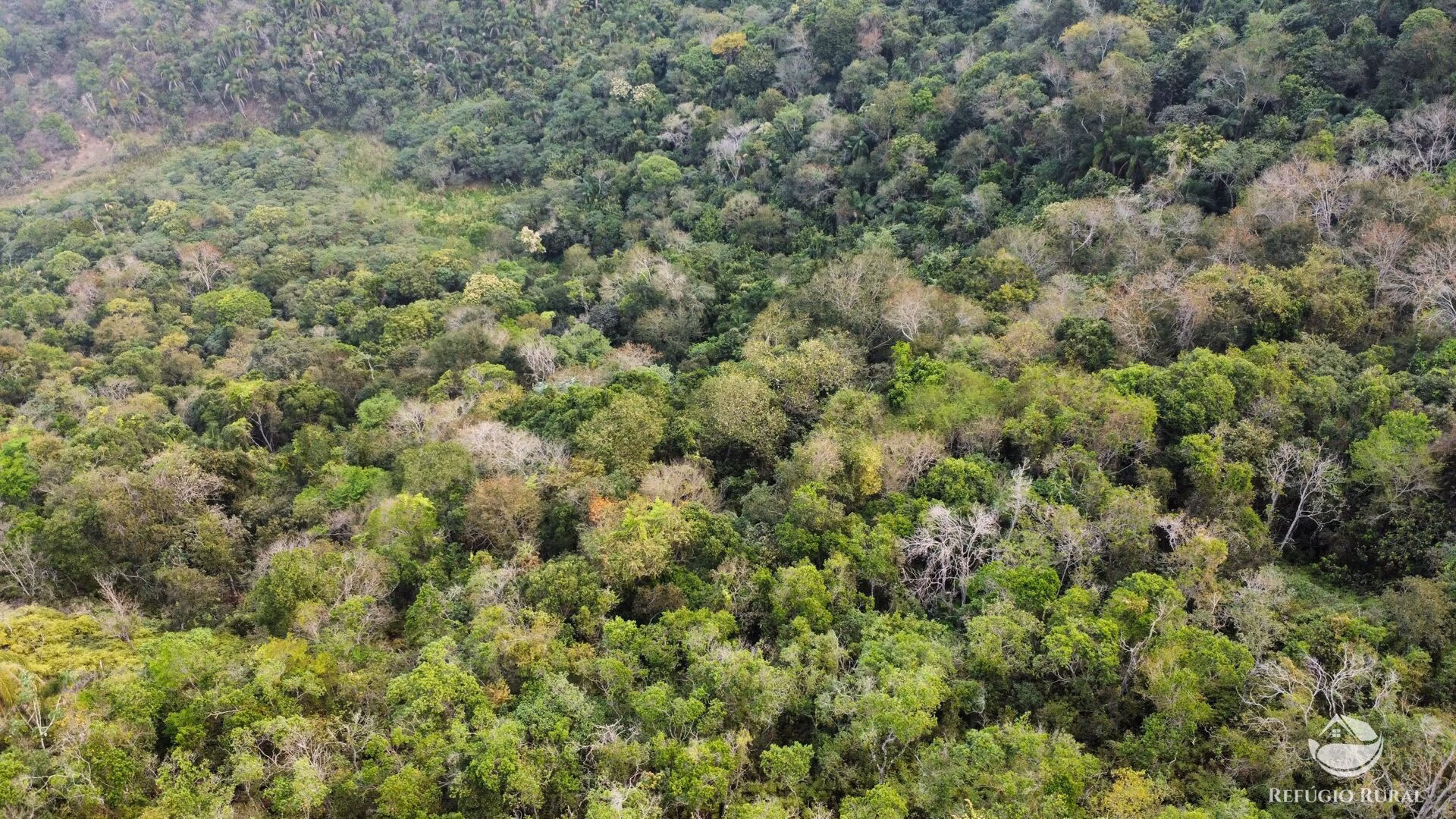 Small farm of 59 acres in São José dos Campos, SP, Brazil