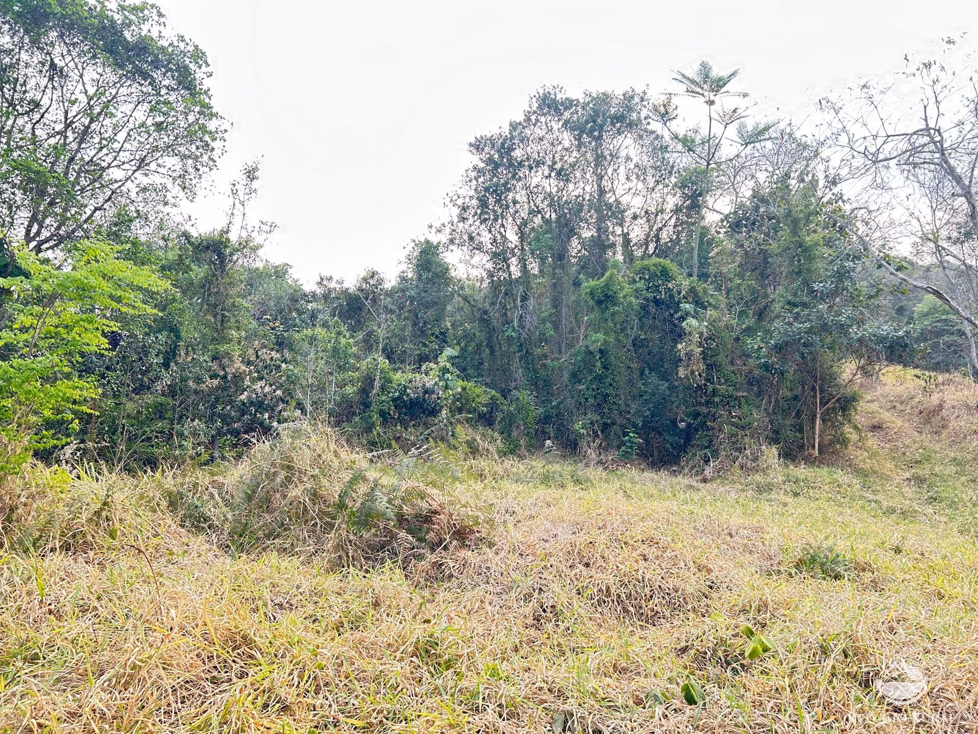 Small farm of 59 acres in São José dos Campos, SP, Brazil