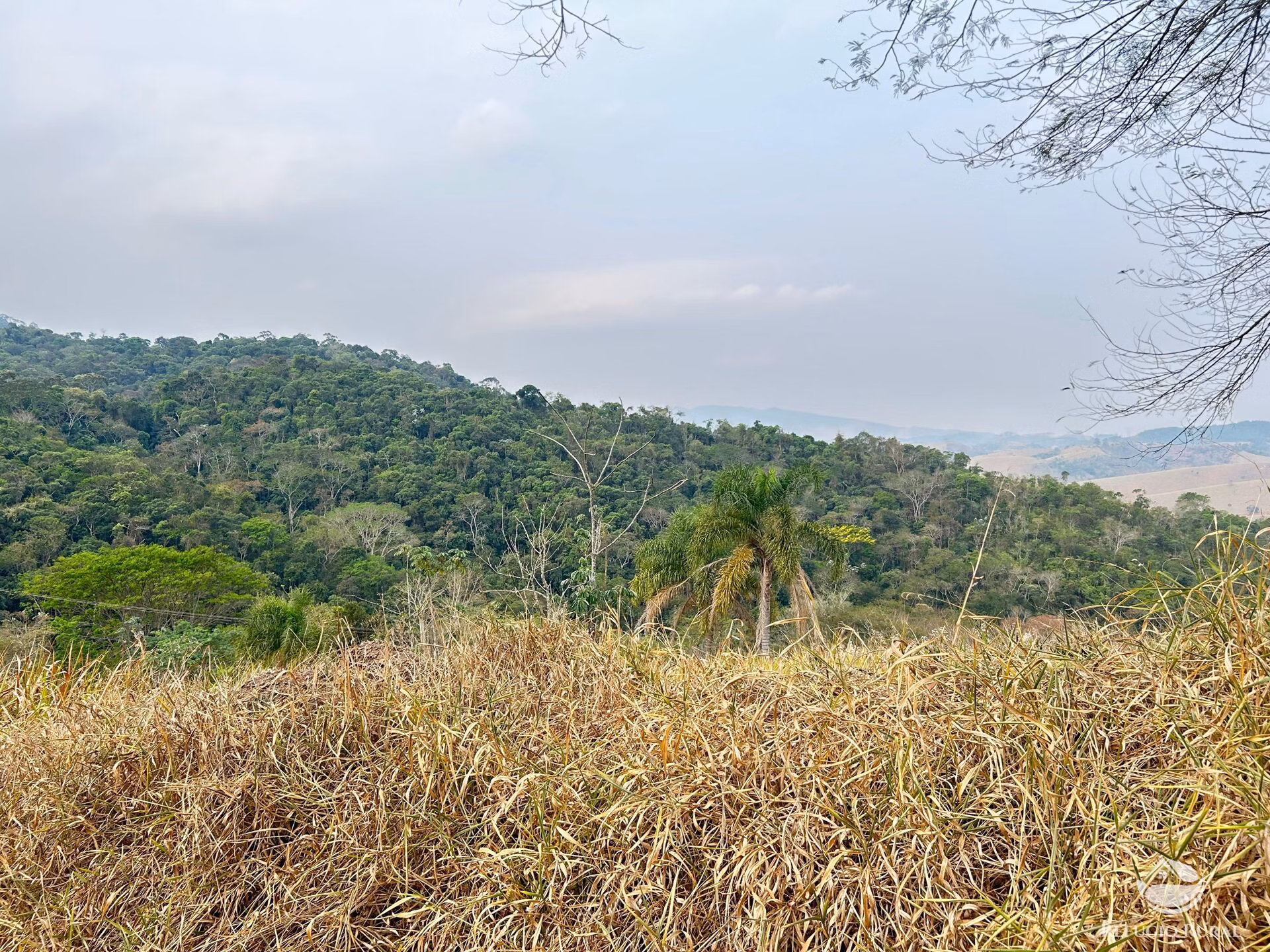 Small farm of 59 acres in São José dos Campos, SP, Brazil