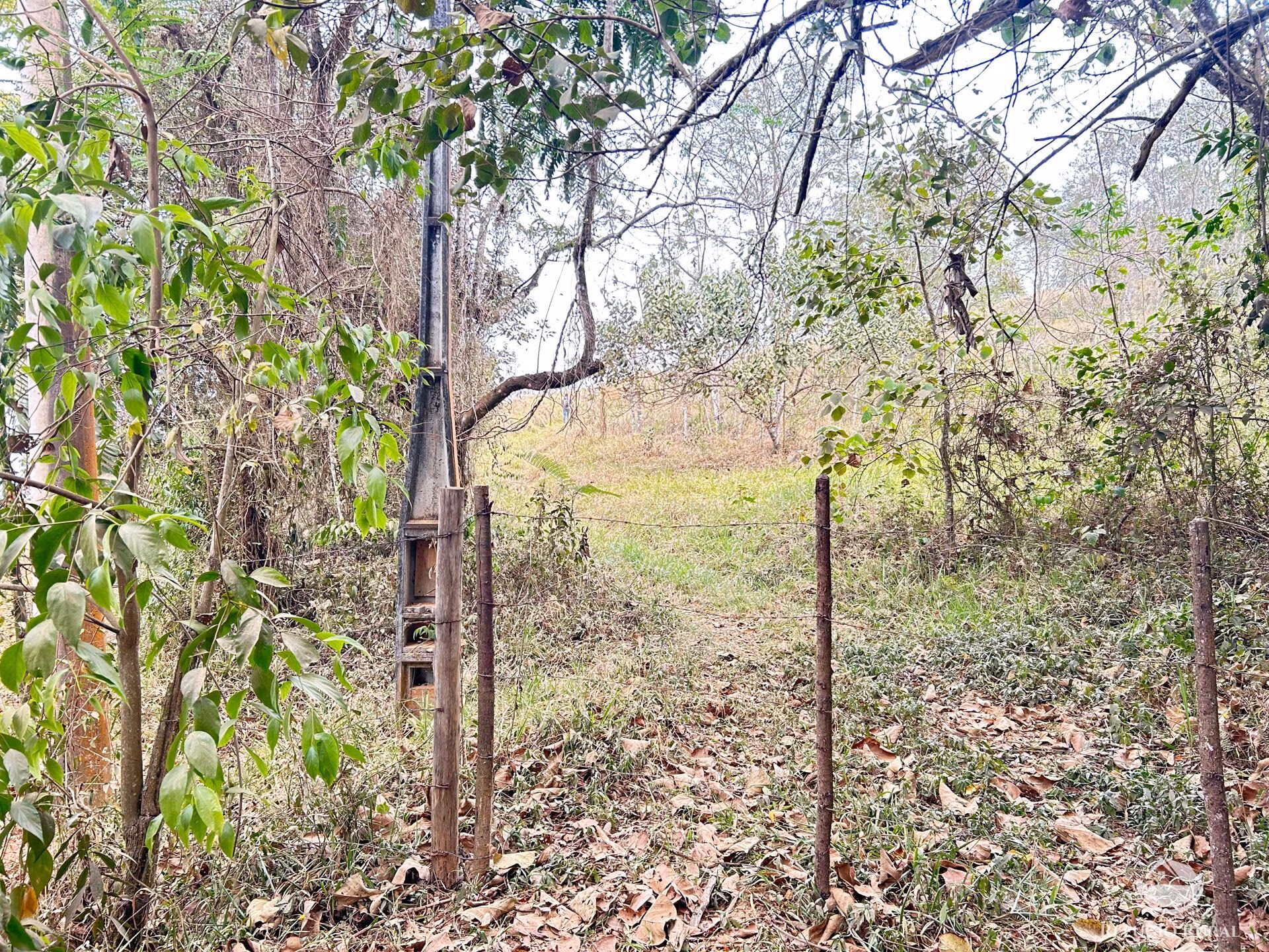 Small farm of 59 acres in São José dos Campos, SP, Brazil