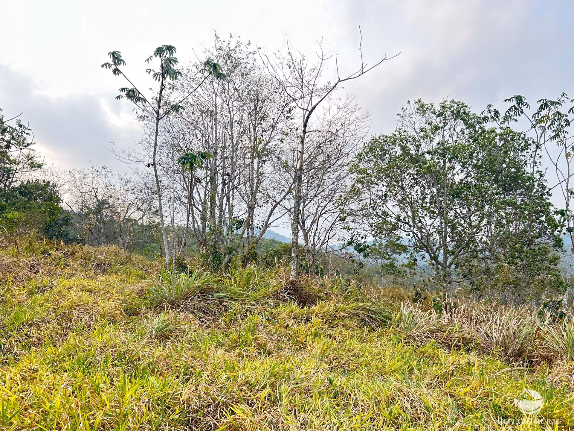 Small farm of 59 acres in São José dos Campos, SP, Brazil