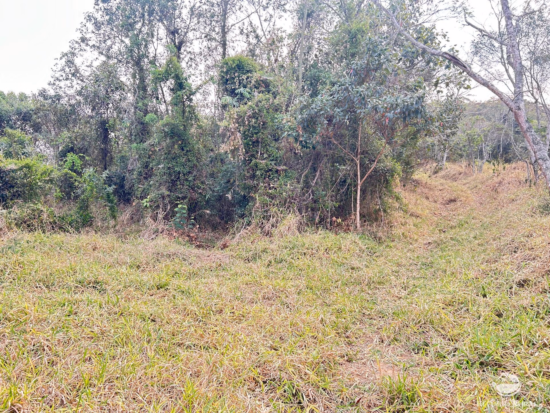 Small farm of 59 acres in São José dos Campos, SP, Brazil