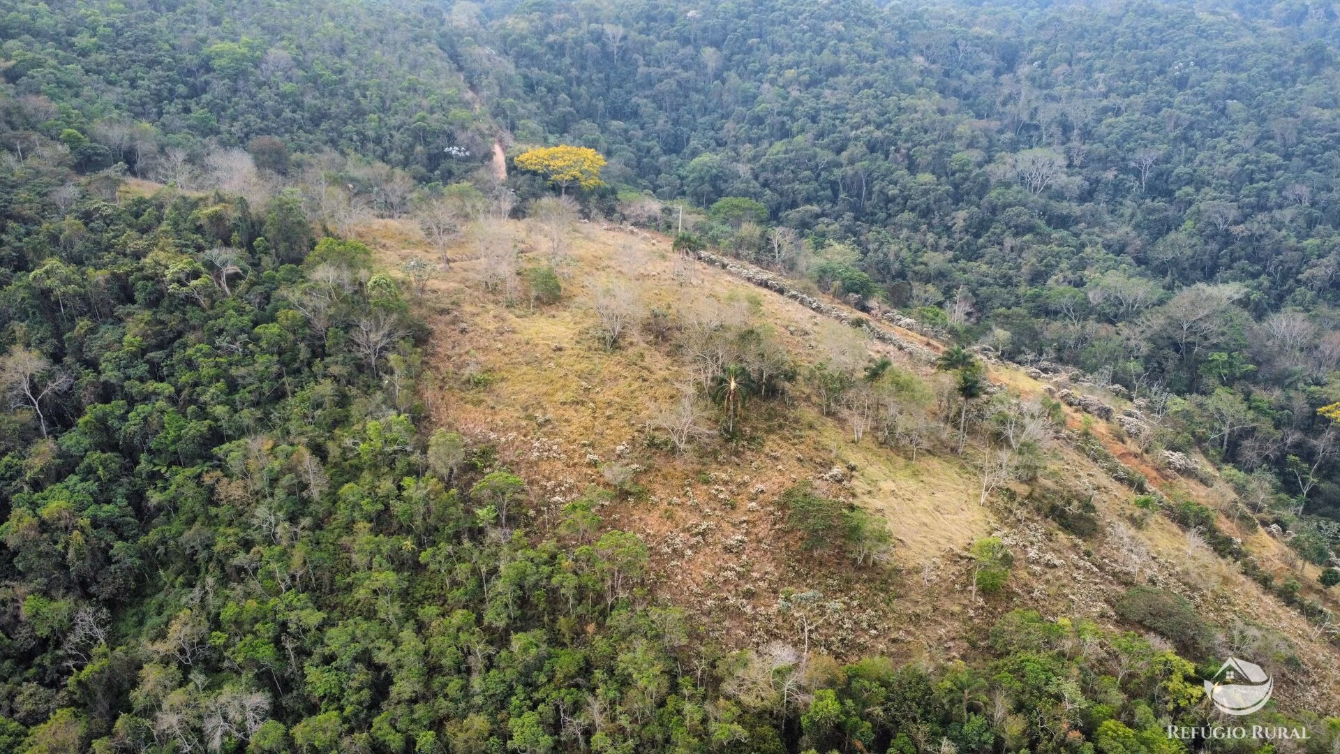 Small farm of 59 acres in São José dos Campos, SP, Brazil