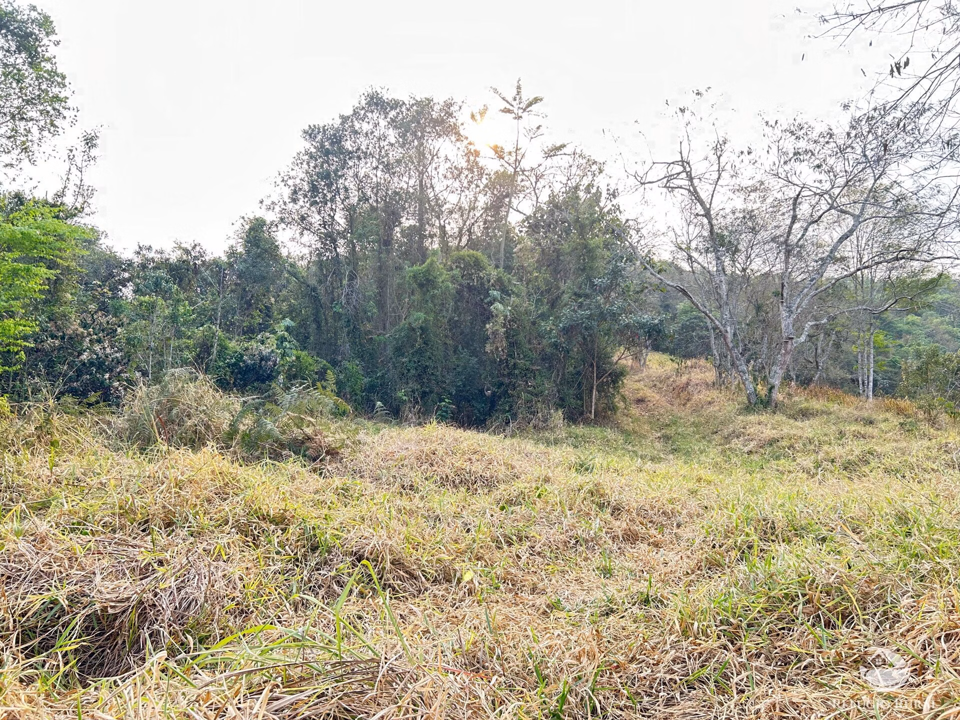 Small farm of 59 acres in São José dos Campos, SP, Brazil