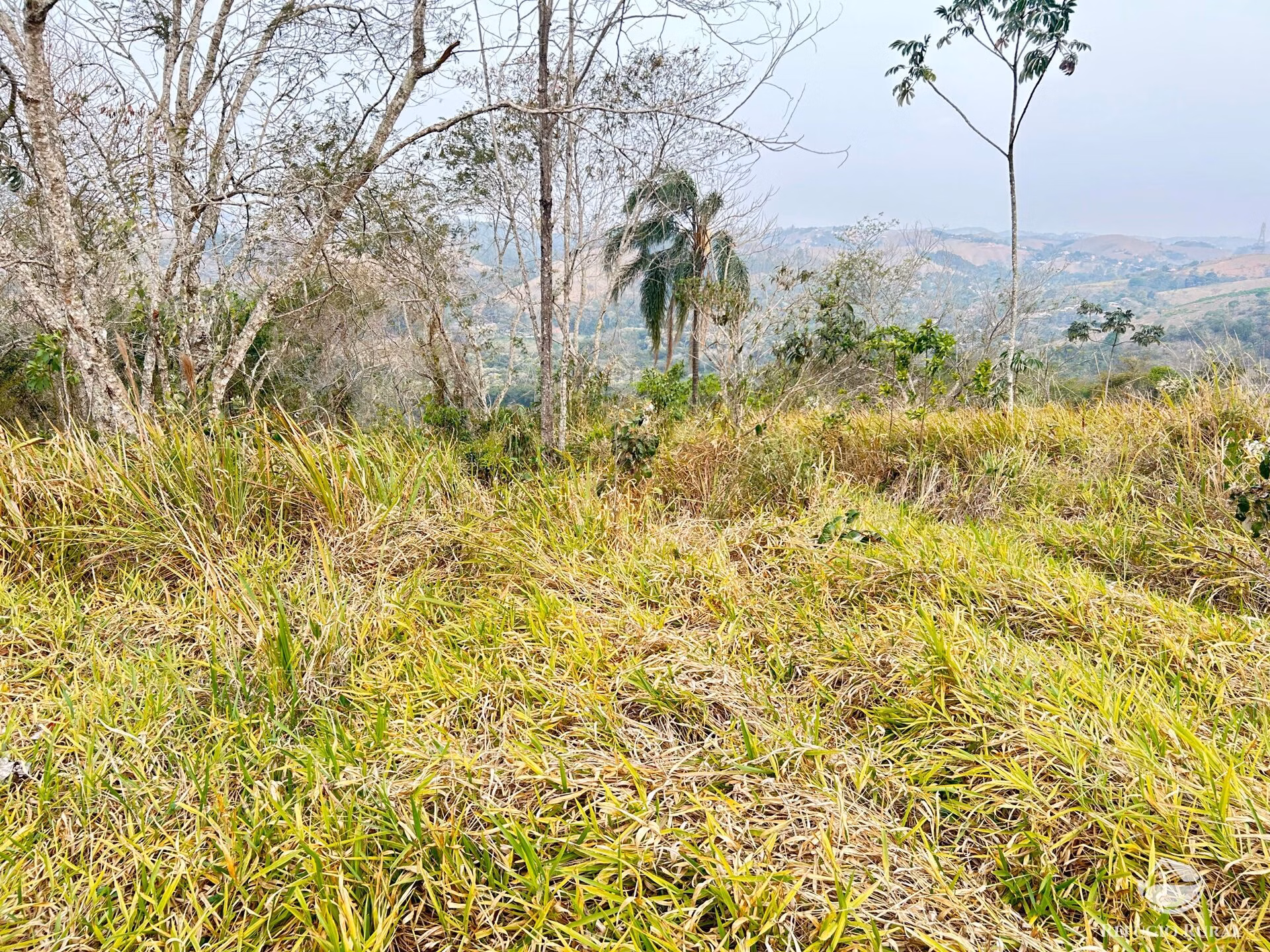 Small farm of 59 acres in São José dos Campos, SP, Brazil