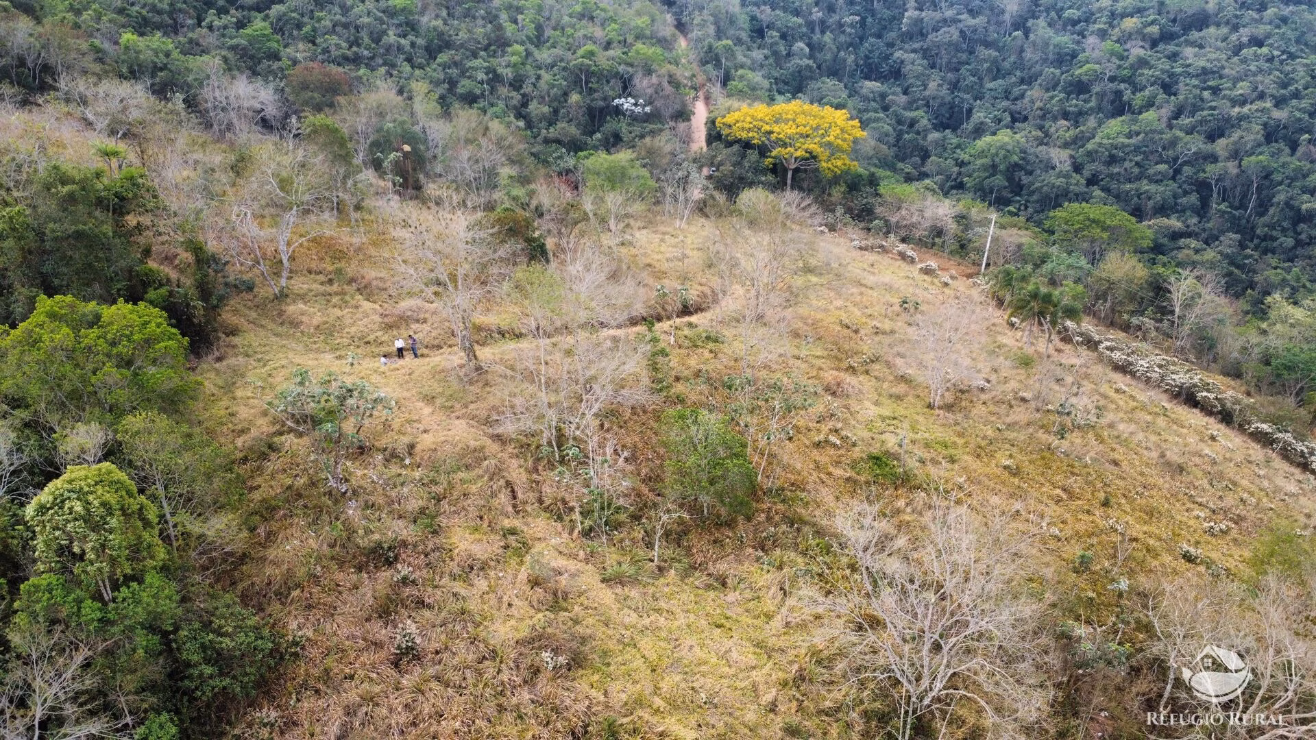 Small farm of 59 acres in São José dos Campos, SP, Brazil