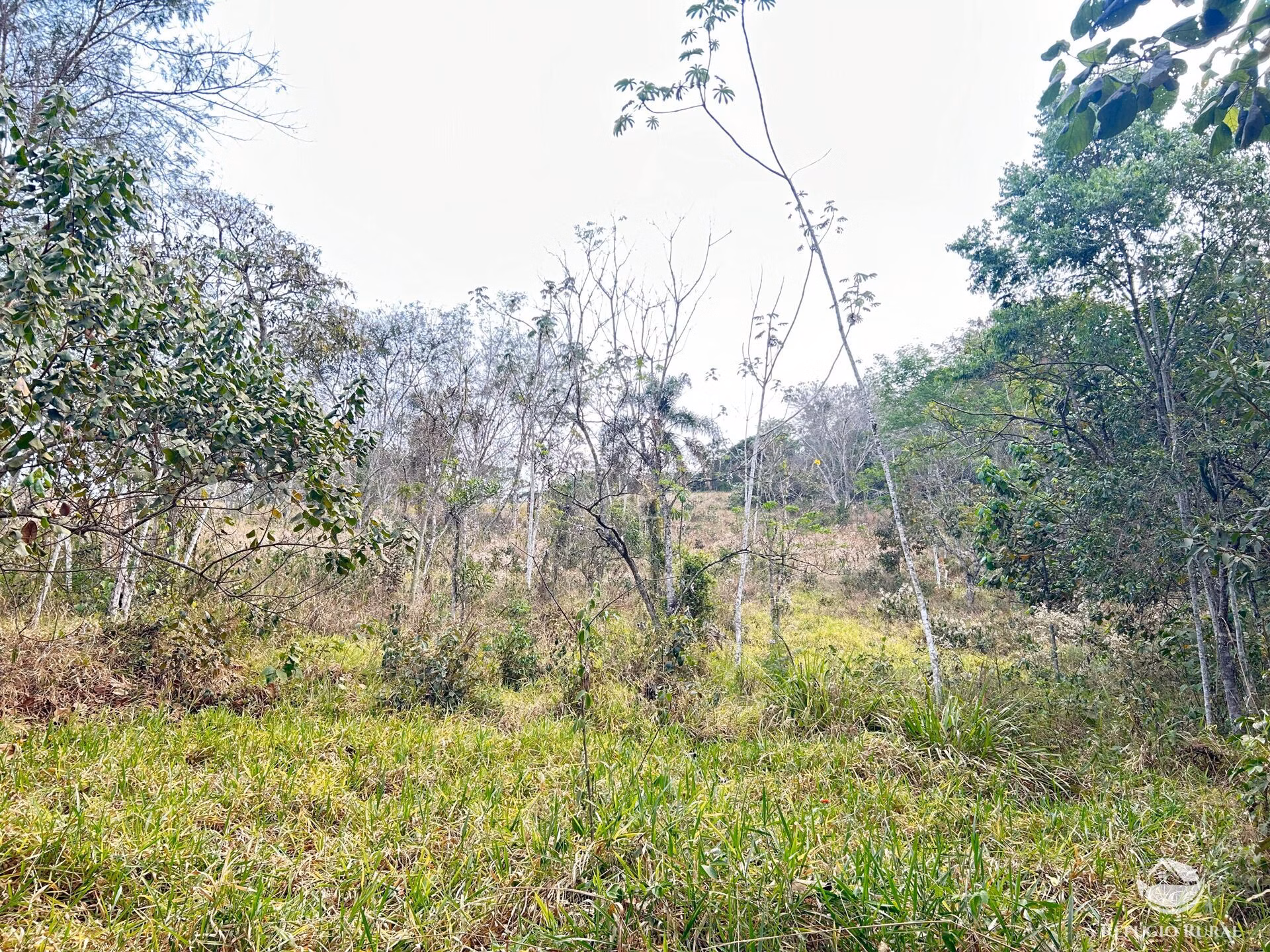 Small farm of 59 acres in São José dos Campos, SP, Brazil